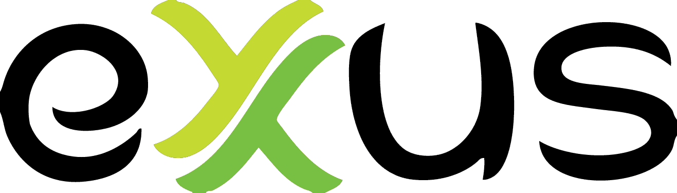 Icon 1